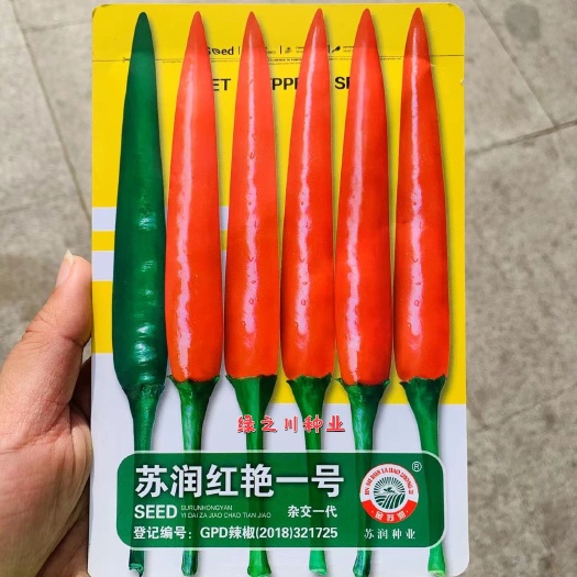 沭阳县苏润种业红艳一号朝天椒种子 泰国引进新一代中熟大果朝天椒种籽