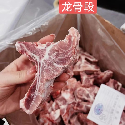 商丘母猪龙骨段