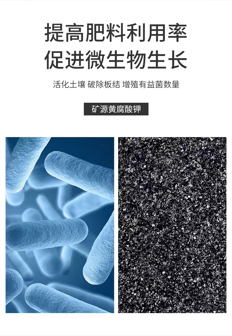 二畝田礦源黃腐酸鉀 活化土壤，調(diào)節(jié)鹽堿，抗茬抗病，提升品質(zhì)