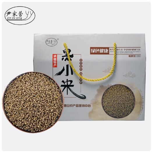 隆化县黑色小米直供产地