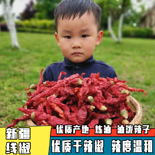 干线椒  干辣椒 新疆纵椒二荆条微辣又香500g干红辣椒香辣