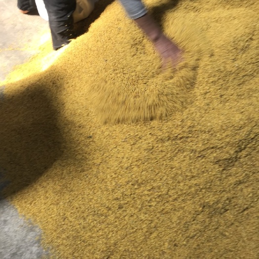 阳朔县桂花干2022新鲜干货