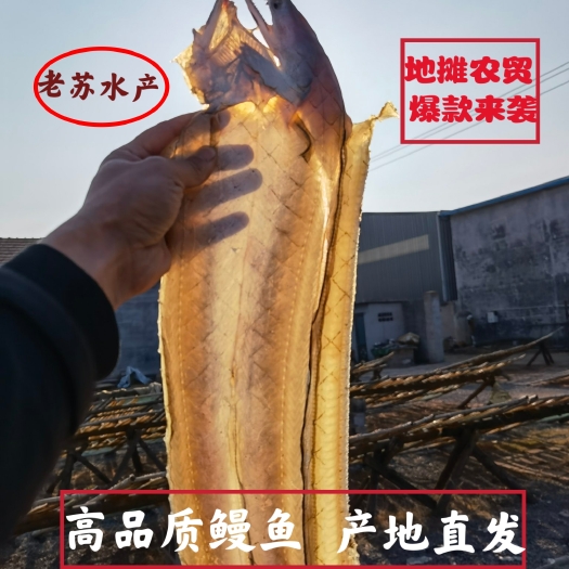 日照山东特产 鳗鱼干 特大鳗鱼 开片鳗鱼整条鳗鱼批发