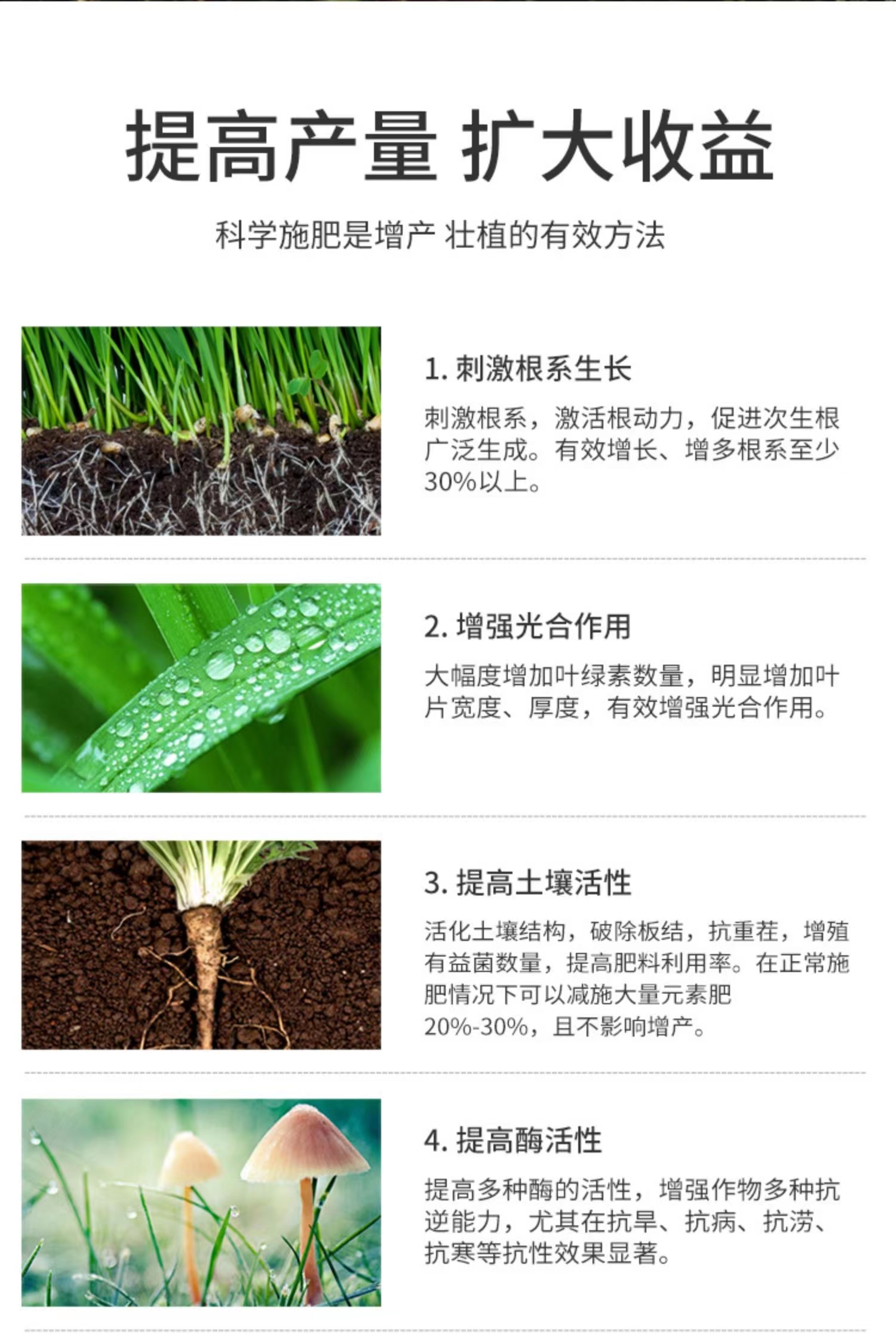 二畝田礦源黃腐酸鉀 活化土壤，調(diào)節(jié)鹽堿，抗茬抗病，提升品質(zhì)
