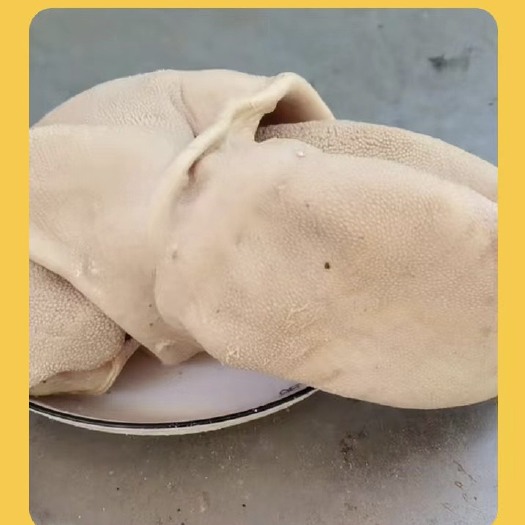 鹰潭净羊肚