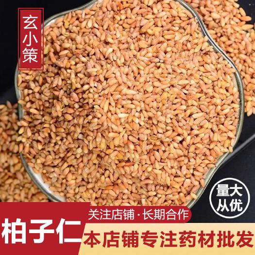 柏子仁 去皮柏子仁 柏子茶 一公斤起批 不包邮净货