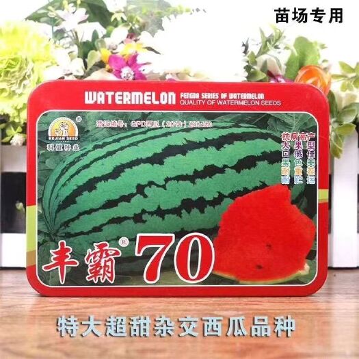 樟树市丰霸70特大超甜脆杂交西瓜种子沙瓤红心少籽皮薄耐运高产抗病春