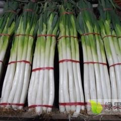 济南章丘金葱又高又脆甜