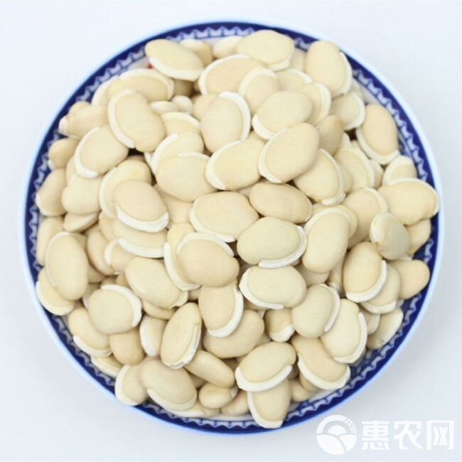 白扁豆 云南产地白扁豆 食用白扁豆