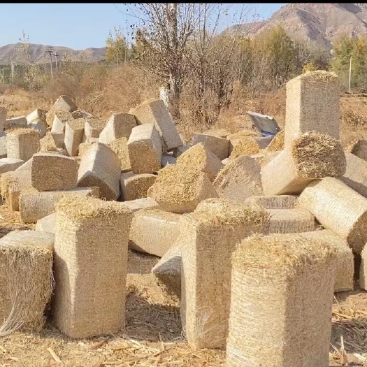 忻州玉米秸秆揉丝