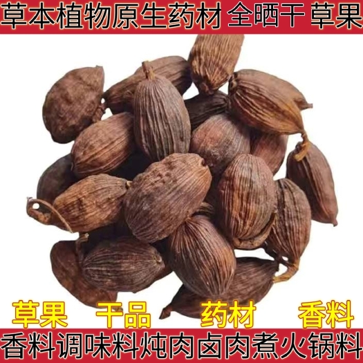 盐津县草本植物原生药材草果香料卤料草果干品