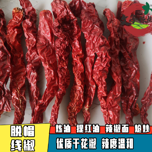 长沙【脱帽】新疆纵椒二荆条微辣又香500g干红辣椒香辣皱皮椒辣椒