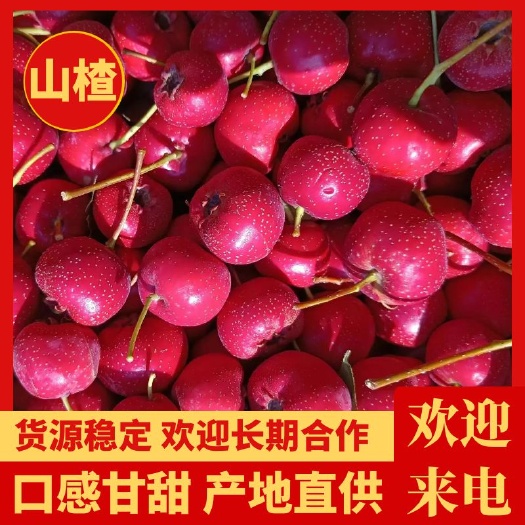 甜红子山楂，口感甘甜，产地直供，质优价廉