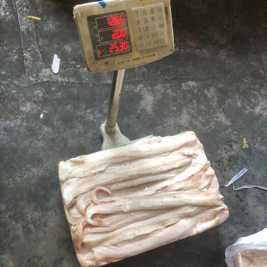 福州钓青鳗