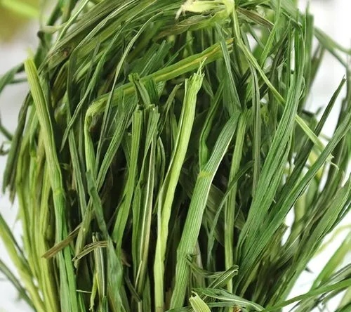 肃南县燕麦草，牧草，自己有1000亩地的。买的到地里面自己看