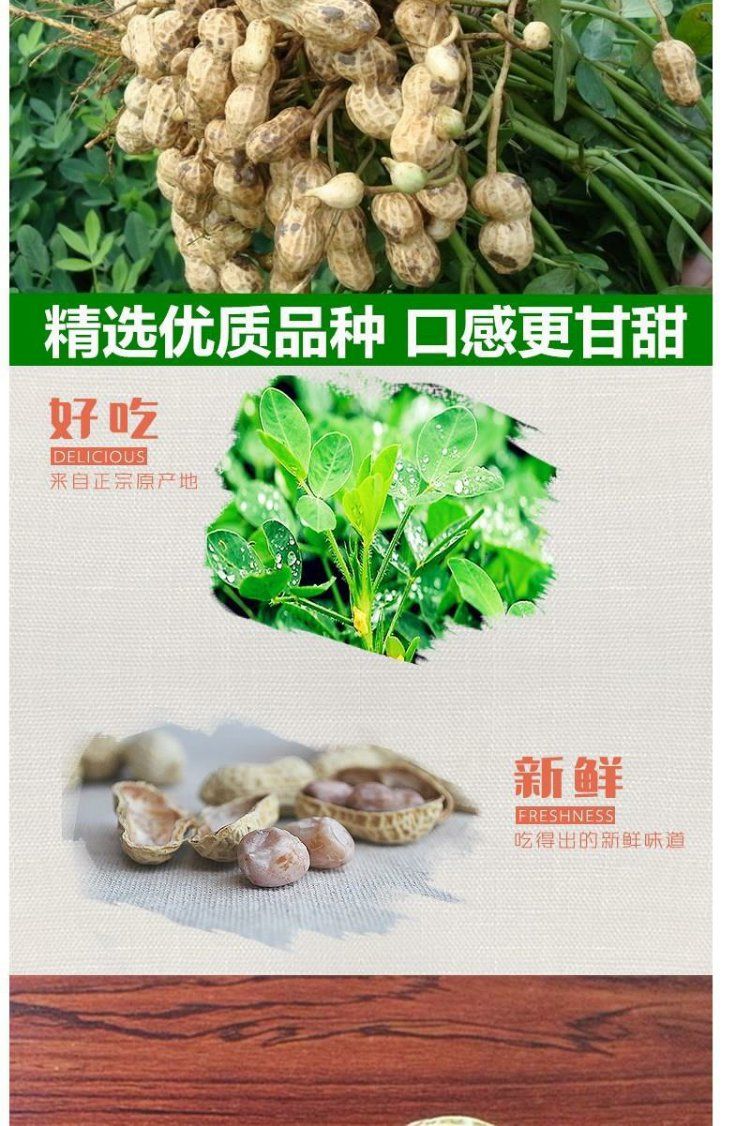 傻师傅120g咸干口味袋装带壳花生零食龙岩花生散陈