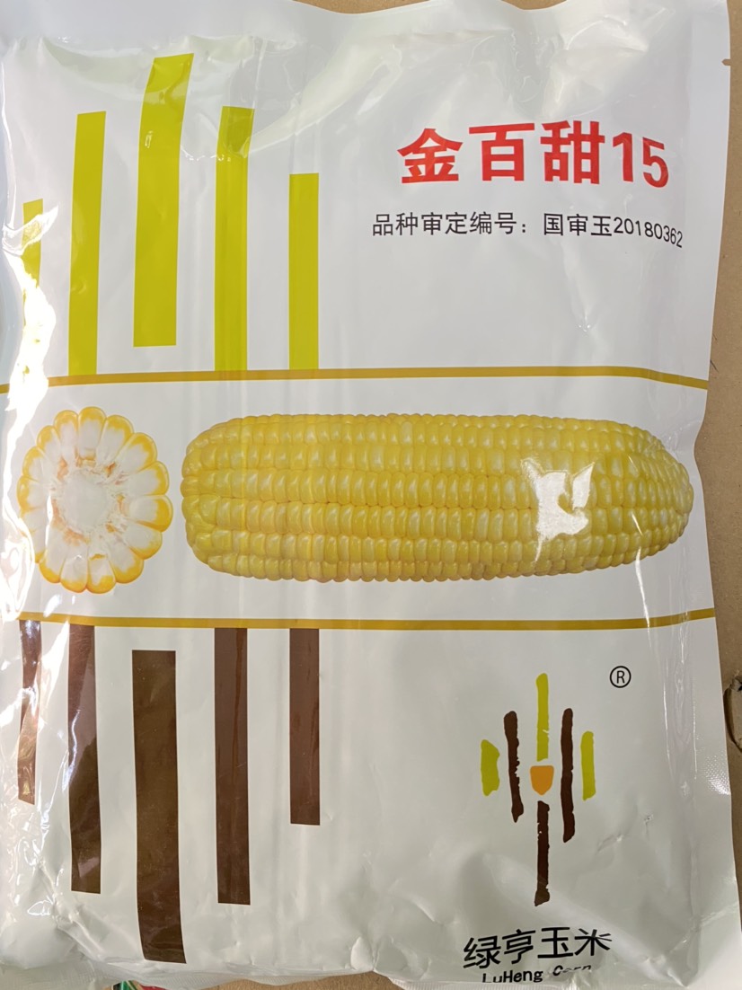 成都太阳花水果玉米种子，金百甜15玉米种子，产量高欢迎咨询