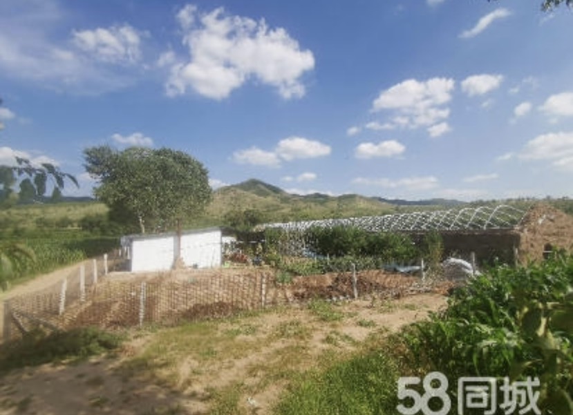 克什克腾旗租售赤峰克旗一家庭农场土地