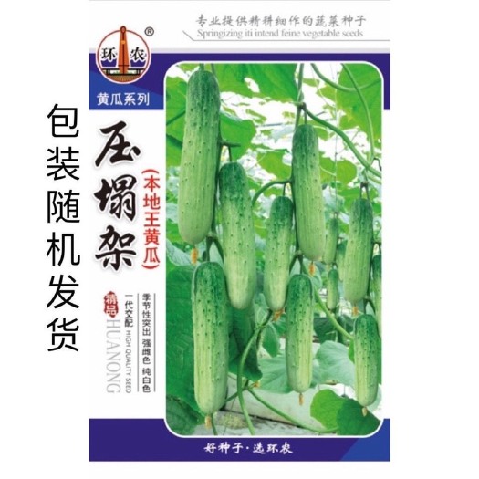 长沙【本地王中王黄瓜种子】满地爬早中熟肉质脆甜老品种高产黄瓜种子