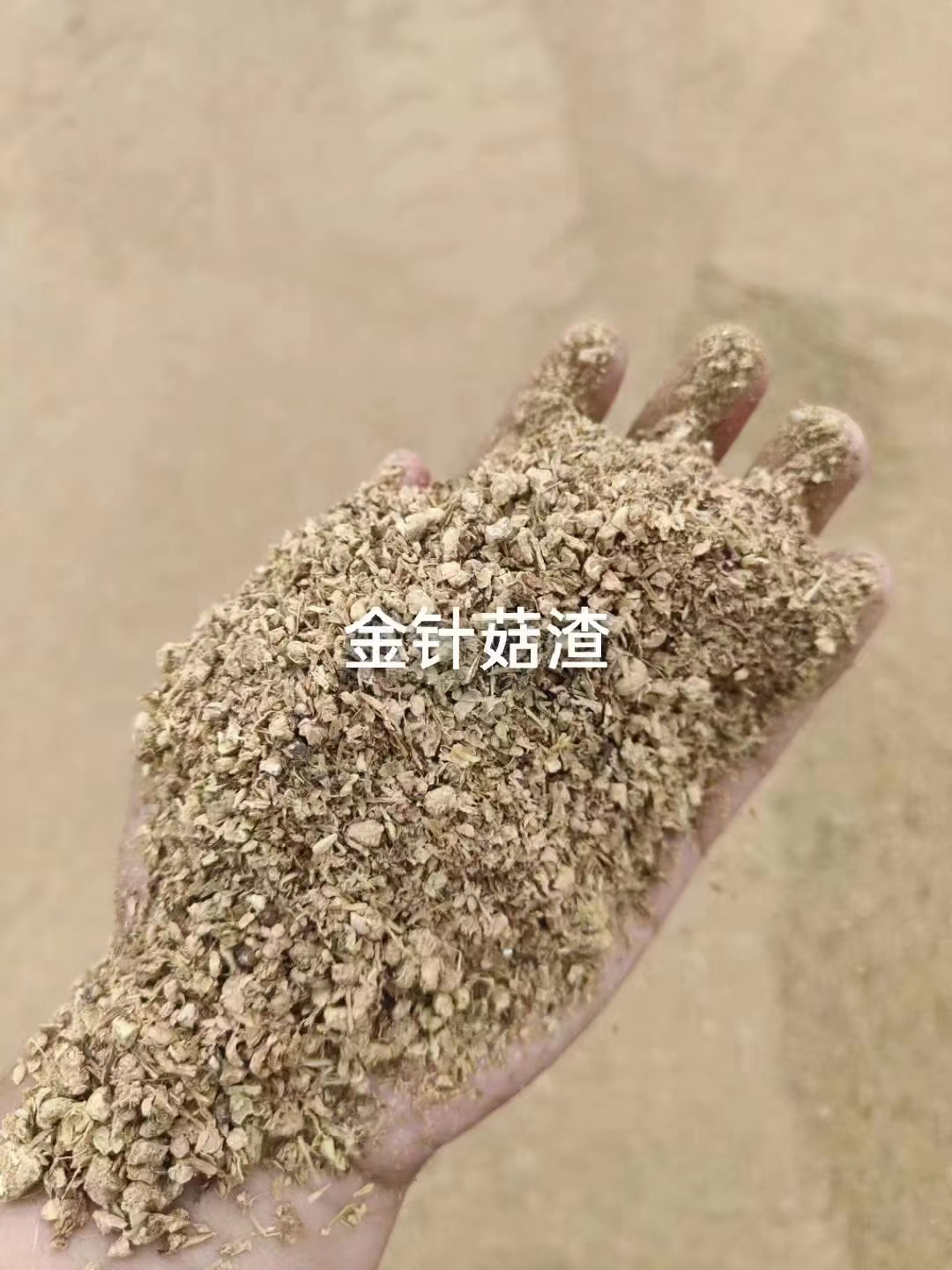 烘干金針菇菌渣    廠家批發(fā)