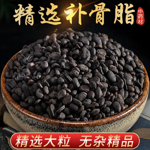 补骨脂 破故纸 股指 中药材补骨脂 一公斤起批