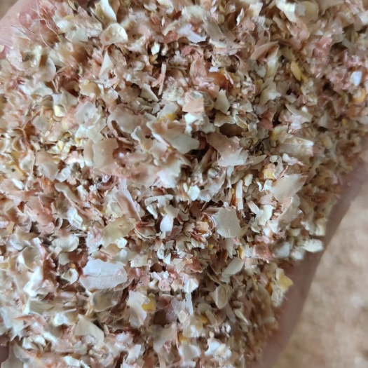 正定县东北烘干玉米皮，含玉米面