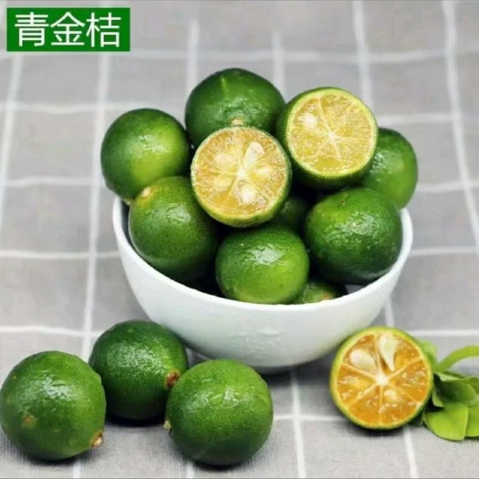 容县海南小金桔苗，海南小青桔柠檬苗，柠檬金桔茶专用搭配。