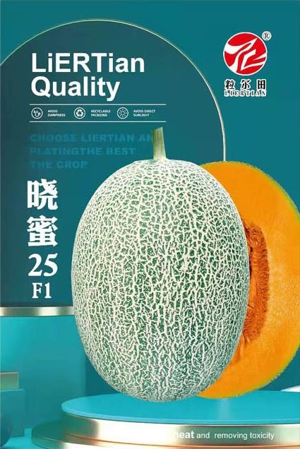 曉蜜25種子抗病好品質(zhì)西州蜜種子哈密瓜種籽粒爾田