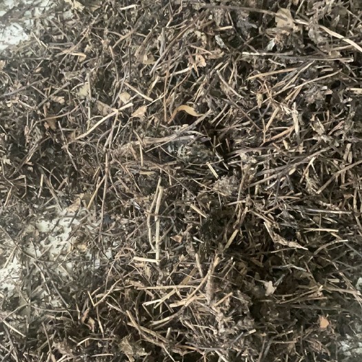 佛冈县凉茶渣，可做有机肥发酵，牛羊猪养殖，菌类种植