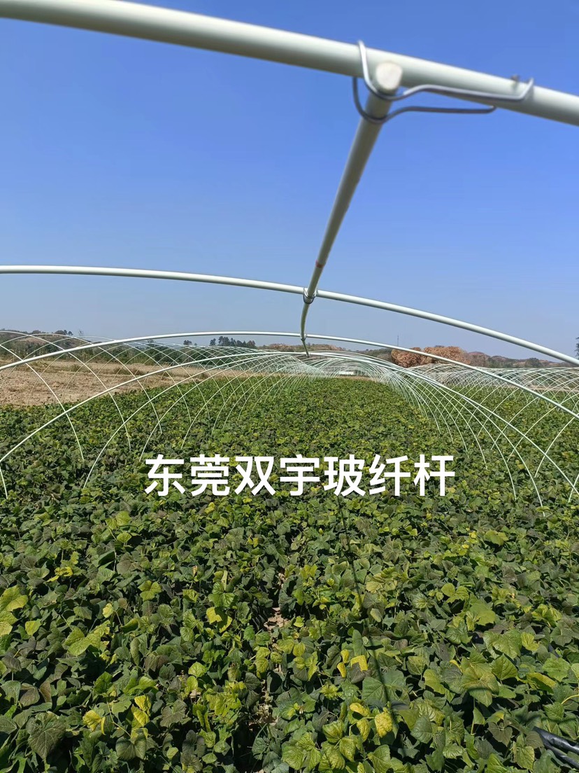 东莞市种植大棚  高强度玻璃纤维棚 5-7米宽玻璃纤维棚