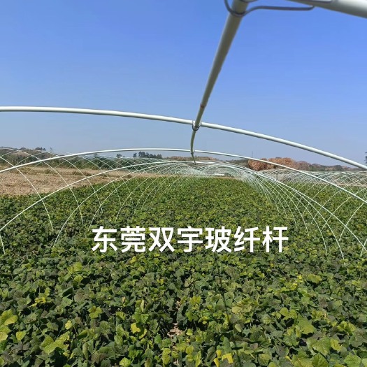 东莞市种植大棚  高强度玻璃纤维棚 5-7米宽玻璃纤维棚