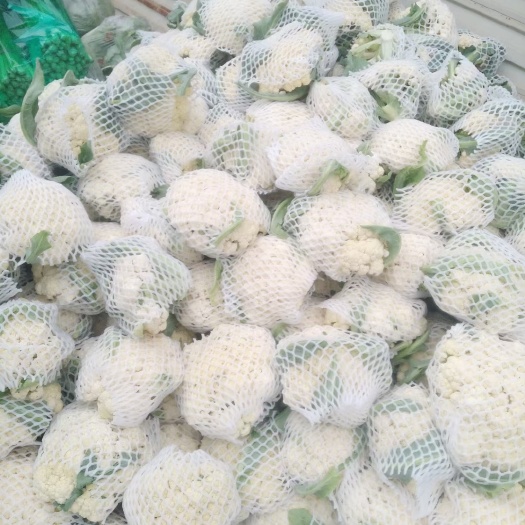 砀山花菜大量上市
