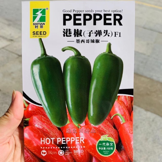 沭阳县子弹头港椒种子墨西哥辣椒种子抗病味浓辣，适合鲜食腌渍加工