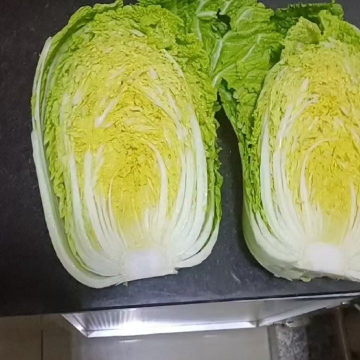 黄心大白菜，大量上市，货源充足，欢迎各地采购商参观考察，恰谈