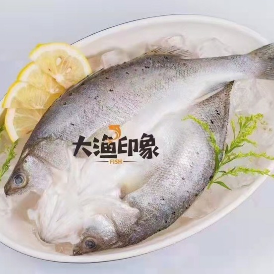 海鲈鱼