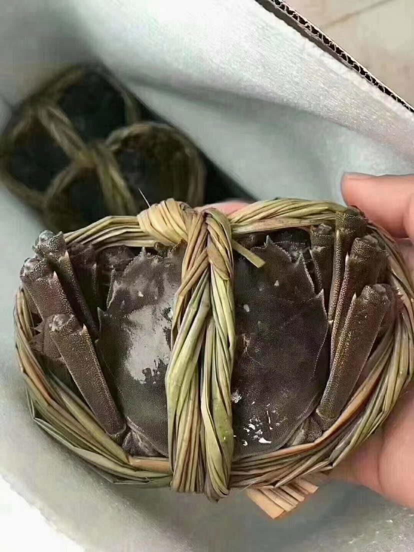 洪湖清水大闸蟹。 损耗包赔，支持混批