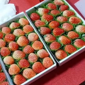 长丰红颜草莓专共超商冰糖葫芦蛋糕奶茶店