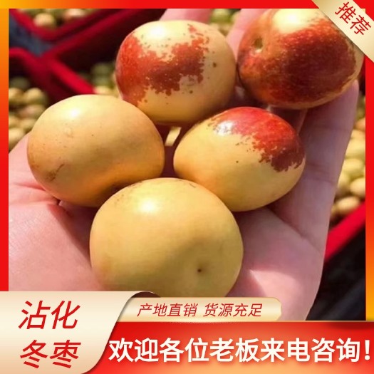 滨州沾化冬枣、鲜枣，电商平台对接、一件代发，商超，市场，落地配等