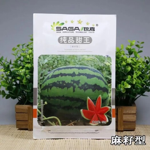 樟树市世嘉【纯品甜王】西瓜种子大果短椭圆形 大红瓤甜脆爽口 皮薄抗