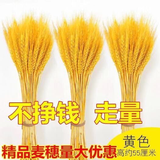 沭阳县天然麦穗干花花束新年客厅摆放花黄金麦穗干花插花装饰品招财旺宅