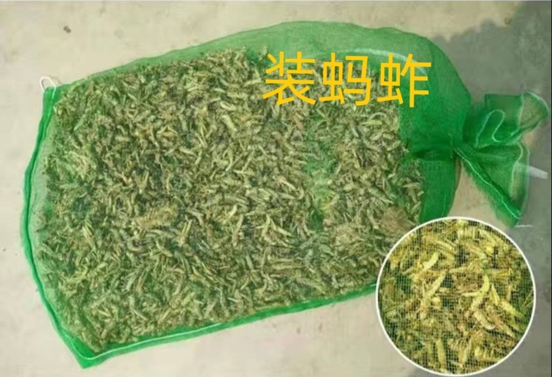 網(wǎng)袋編織袋網(wǎng)眼袋水果蔬菜玉米土豆洋蔥大蒜裝家禽使用包裝網(wǎng)兜袋