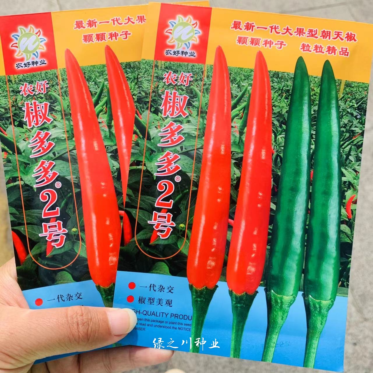 沭阳县正品椒多多2号朝天椒种子泰国引进大果型米椒种子高产单生朝天椒