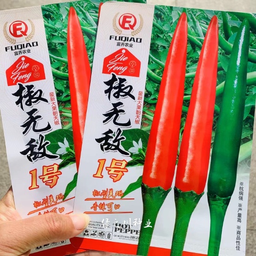 沭阳县富乔农业1号朝天椒种子泰国引进新品种 把长椒长朝天椒种籽