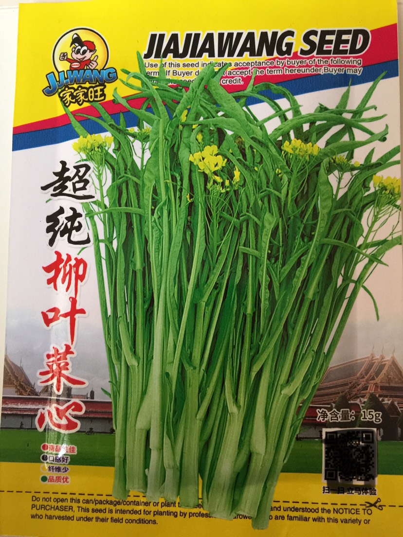 长沙超纯柳叶菜心种子桂林菜花种子广东广西特色蔬菜种子卷心菜种子