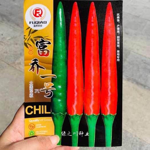 沭阳县富乔一号南方热销泰国朝天辣椒种子 特大果朝天椒种籽高产