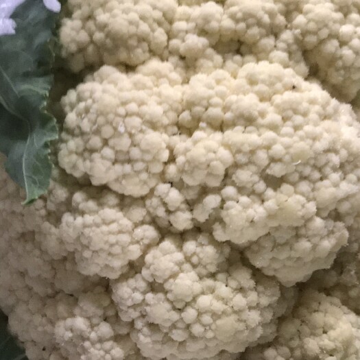 天门市花菜散花精品散花白