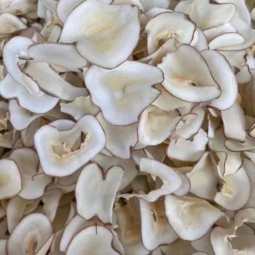 广州海底椰片 无硫海底椰 香味浓 煲汤煲水靓料 长期有货
