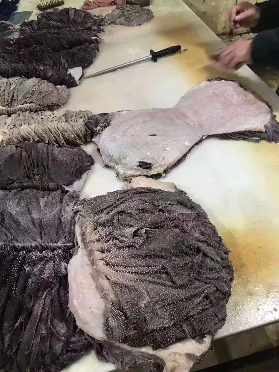 纯干牛百叶