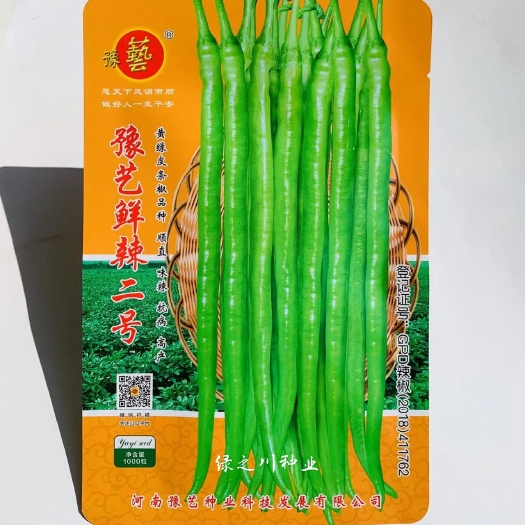 豫艺鲜辣二号黄绿皮线椒种子 高产早熟味辣香浓，叶片小坐果率高