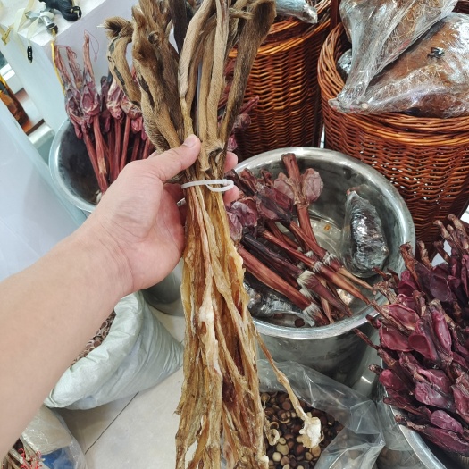 通化梅花鹿鹿筋保真保纯长白山鹿筋